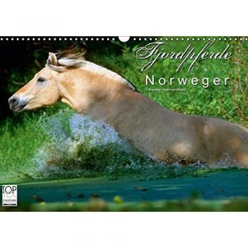Fjordpferde