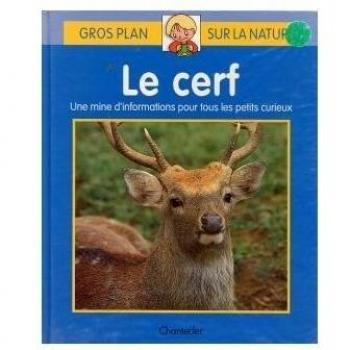 gros plan sur la nature