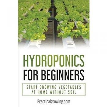 Hydroponics for Beginners: Start Growing Vegetables at Home Without Soil