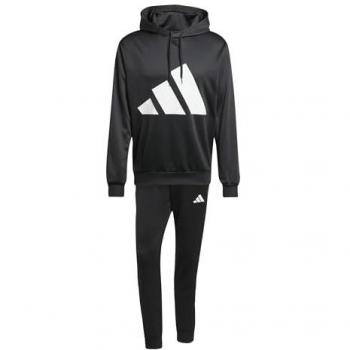 Adidas Big Logo Kaptrui Traningenset
