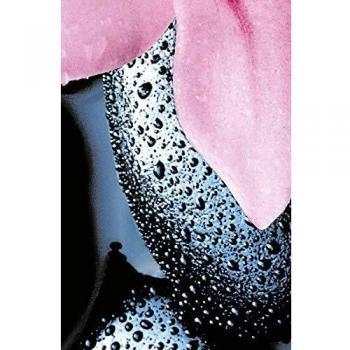 Wandbild Stein Orchidee von Reinders 175 × 115 cm