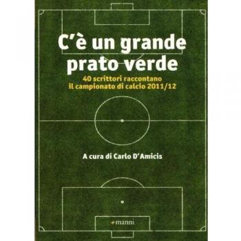 C'è un grande prato verde. 40 scrittori raccontano il campionato di calcio 2011/12