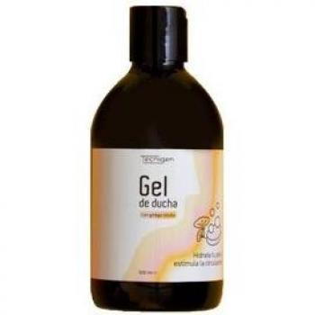 Gel Refrescante Ginkgo Biloba Tecnigen 500ml