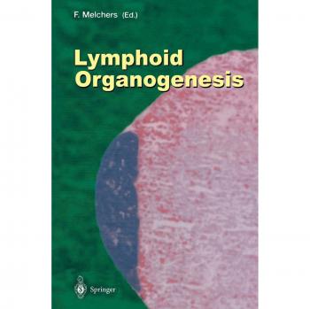 Lymphoid Organogenesis