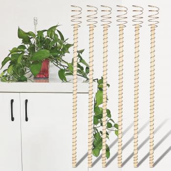 Piquet de jardinage en cuivre avec antennes