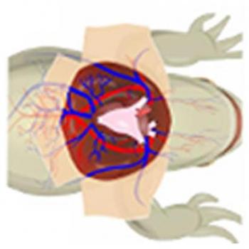 Vitalsource Technologies, Inc. Effect of Temperature on Frog's Cardiogram