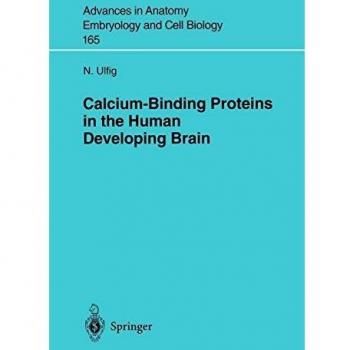 Calcium-Binding Proteins in the Human Developing Brain
