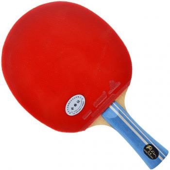 Raquette pagaie de ping-pong Palio 2 étoiles pour votre enfant