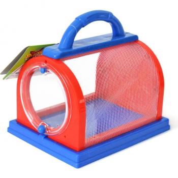 Butterfly and Dragonfly Exploration Box