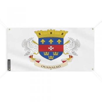 Polyester Saint Barthélemy Flag Banner 180x360cm with 6 Grommets