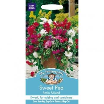 Sweet Pea Patio Seeds