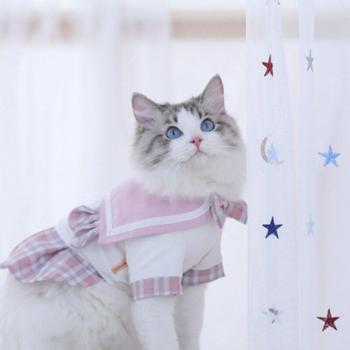 Jodpet Cute Cat Skirt