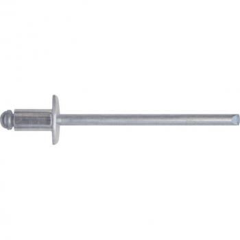 Lot de 10 rivets polyvalents 4,8x14 à partir de 100 pièces
