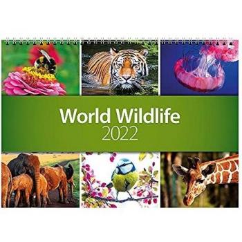 Wildlife Atlas 2022 Wall Calendar – CL06