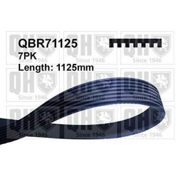 Courroie trapézoïdale à nervures QBR71125