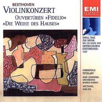 Violon en concert