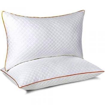 Maxxx Bamboo Pillow Set