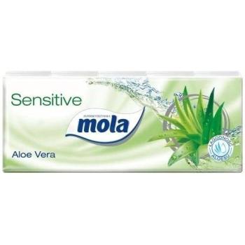 SoftSoothe Aloe Wipes – 10 Pack, 100 Unscented Skincare Sheets