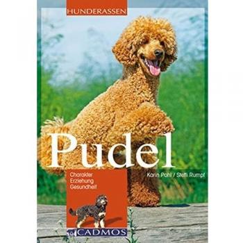 Pudel: Charakter, Erziehung, Gesundheit