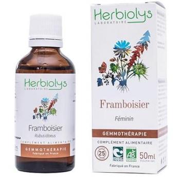 Framboisier Bio 50 ml – Herbiolys