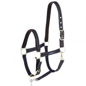 Licol GoLeyGo 2.0, taille 1, poney, marron-bleu ciel
