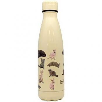 Botella Termo Doble Pared Gatos Amarillo 500ml