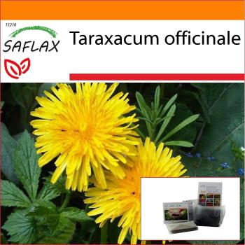 Saflax