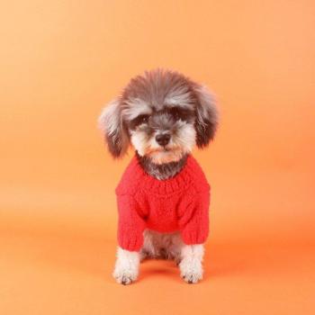Suéter de Lujo para Mascotas