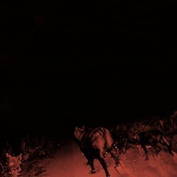 Shadow On Everything Double Vinyle