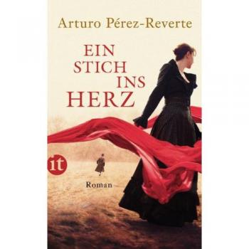 Ein Stich ins Herz: Roman (insel taschenbuch)