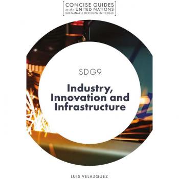SDG9