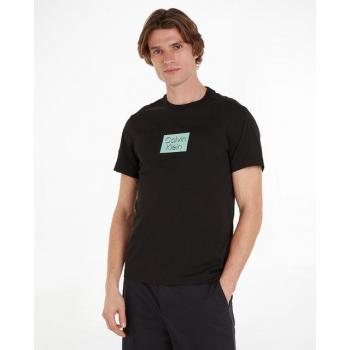 Calvin Klein Herren T-Shirt Shadow Logo K10K113110 Schwarz Regular Fit