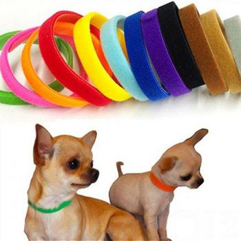 Collares Ajustables para Cachorros y Gatitos