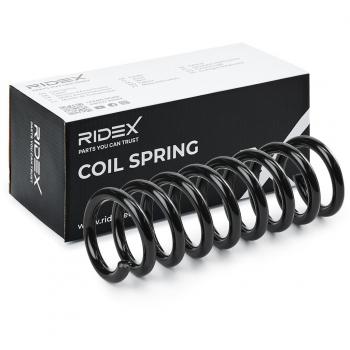 Molle RIDEX 188C0801