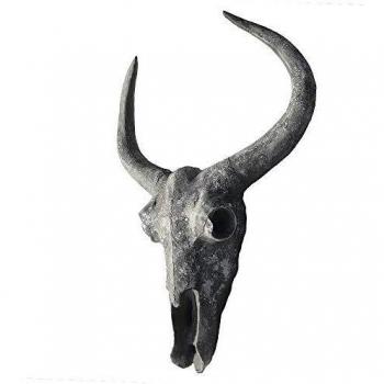 Stier-Bullenschädel Kunstobjekt