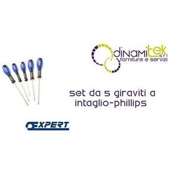 **Kit Profesional de 5 Destornilladores Expert con Punta Ranurada