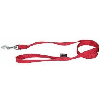 Spaziergangsset: Halsband & Leine – Martin Basic Nylon Rot (XS)