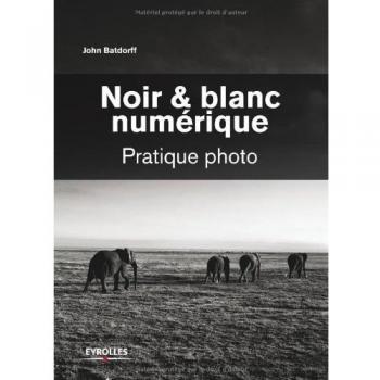 Noir et blanc numérique