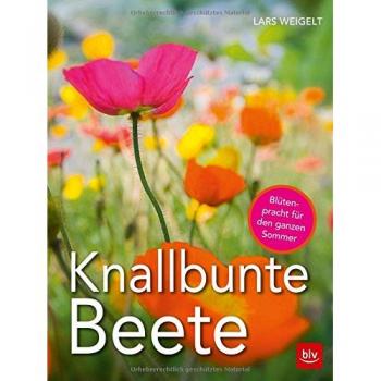 Knallbunte Beete