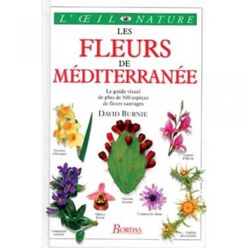 Les Fleurs De Méditerranée
