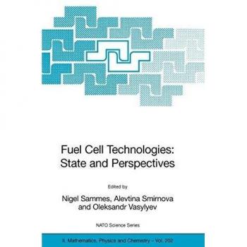 Fuel Cell Technologies: State And Perspectives: Proceedings of the NATO Advanced Research Workshop on Fuel Cell Technologies: State And Perspectives, ... Physics and Chemistry, 202, Band 202)