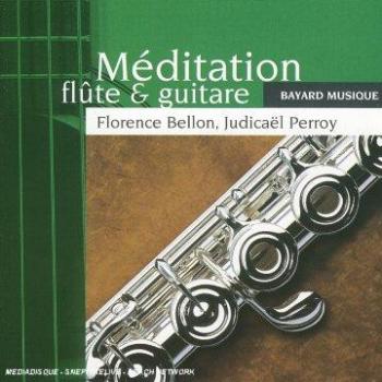 Harmonie der Flöte und Gitarre