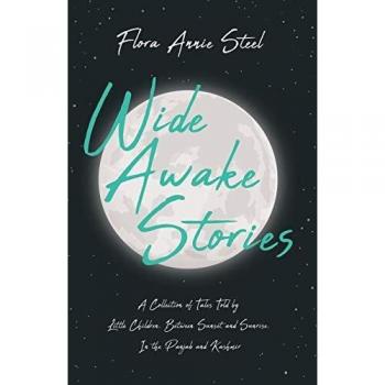 Wide Awake Stories