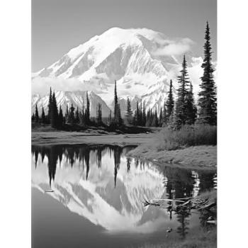 Black & White Mount McKinley: Tranquility Landscape Poster