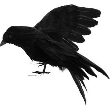 Realistic Crow Prop for Bar and Home Decoration