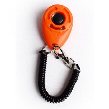 Système de bracelet rétractable pour chien et chat