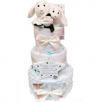 Nurturing Nest Bunny Gift Set