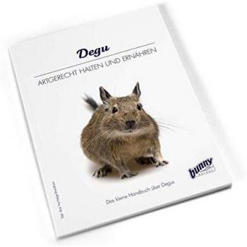 Bunny Degu Pflegebuch: Alles, was Sie wissen müssen