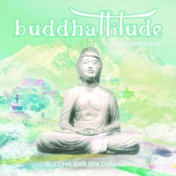 Buddhatitude volume 8