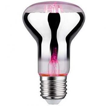 Paulmann PLM 28732 Foco de filamento LED Grow Green E27 6,5W